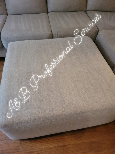 Upholstery Cleaning in Birmingham, AL (1)