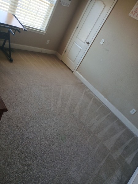 Carpet Cleaning in Birmingham, AL (1)