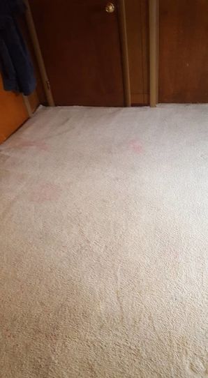 Before & After Carpet Cleaning in Birmingham, AL (2)