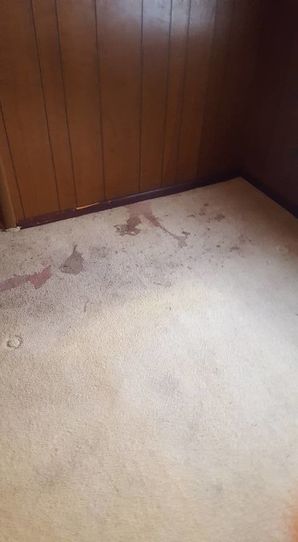 Before & After Carpet Cleaning in Birmingham, AL (3)