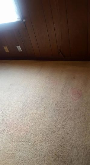 Before & After Carpet Cleaning in Birmingham, AL (4)