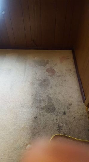 Before & After Carpet Cleaning in Birmingham, AL (5)