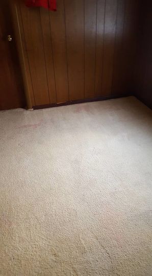 Before & After Carpet Cleaning in Birmingham, AL (6)