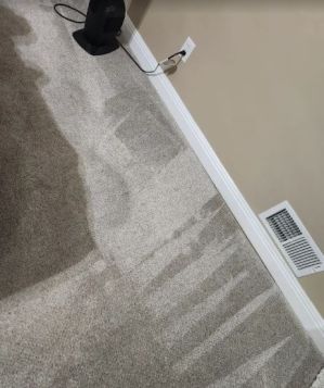 Carpet Cleaning in Homewood, AL (2)