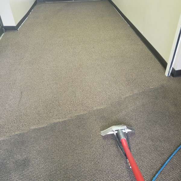 Before & After Carpet Cleaning in Helena, GA (1)