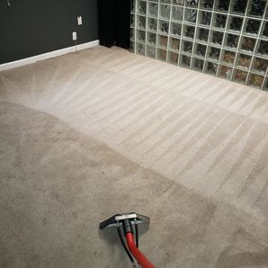 Before & After Carpet Cleaning in Birmingham, AL (1)