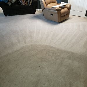 Before & After Carpet Cleaning in Birmingham, AL (2)