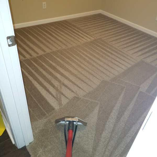 Carpet Cleaning in Birmingham, AL (1)