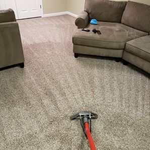 Carpet Cleaning in Birmingham, AL (1)