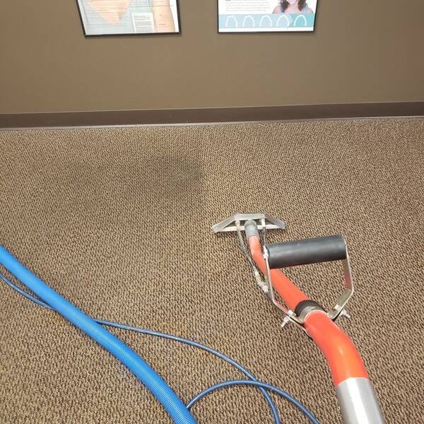 Before & After Carpet Cleaning in Hoover, AL (1)