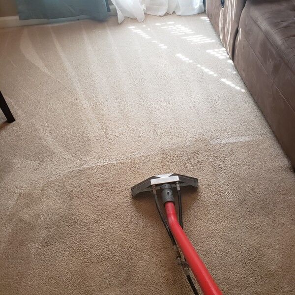 Carpet Cleaning in Hoover, AL (1)