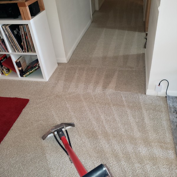 Carpet Cleaning in Hueytown, AL (1)