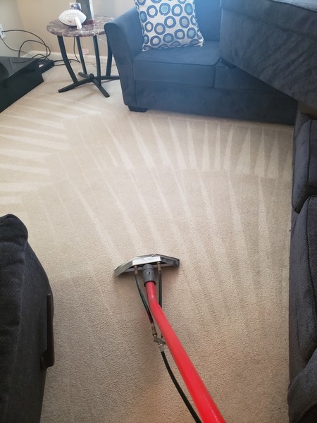 Carpet Cleaning in Birmingham, AL (3)