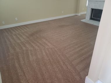 Carpet Cleaning in Birmingham, AL (2)