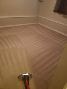Carpet Cleaning in Birmingham, AL (1)