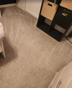 Carpet Cleaning in Homewood, AL (1)