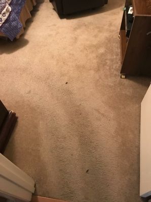 Before & After Carpet Cleaning in Hoover, AL (3)