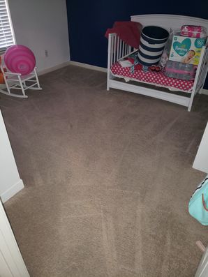 Carpet leaning in Birmingham, AL (1)
