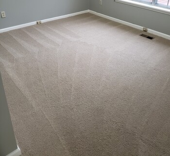 Carpet Cleaning in Montevallo, Alabama