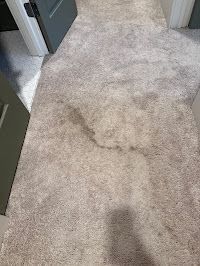 Carpet Stain Removal
