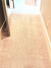 Carpet Stain Removal in Hoover, AL (2)